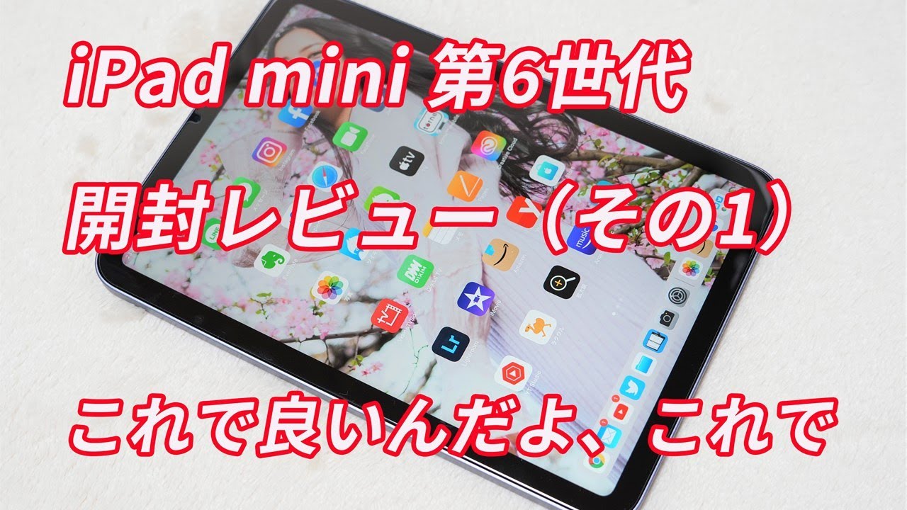 塩キャラメル iPad mini (第6世代) MK7R3J Apple iPad mini 8.3インチ