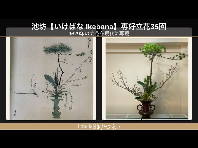 池坊【いけばな Ikebana】専好立花35図の再現 1629年の立花を現代の花