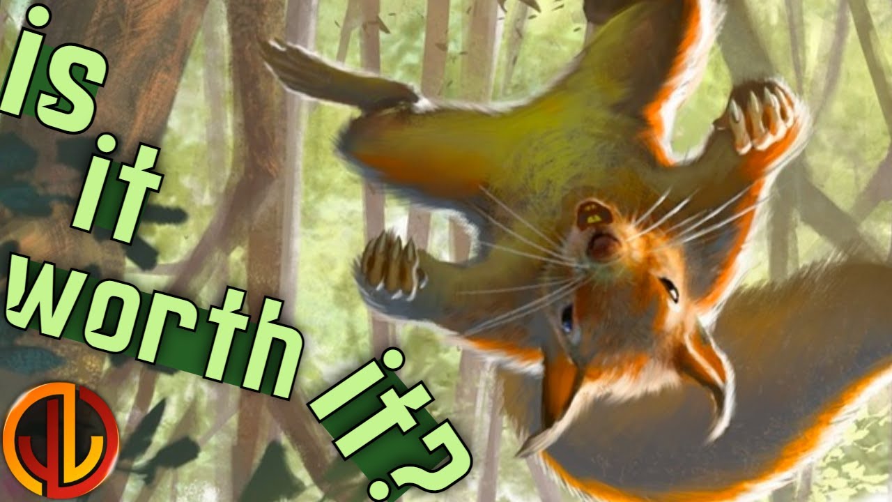 Is Secret Lair: We Hope You Like Squirrels Worth It? [MTG