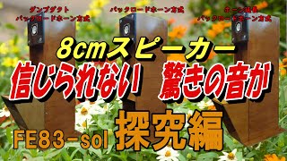8cmスピーカーから、信じられない、驚きの音が聴こえました。今回は