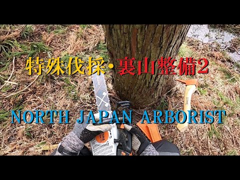 483.特殊伐採・裏山整備2 - YouTube