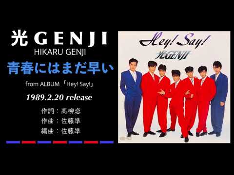 光Genji – Hey! Say! – Vinyl (Gatefold, LP, Album + 2 more), 1989