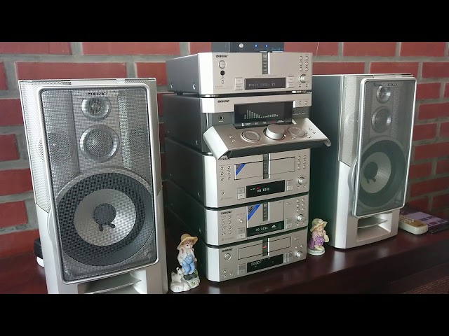 Sony DHC-MD919 - YouTube