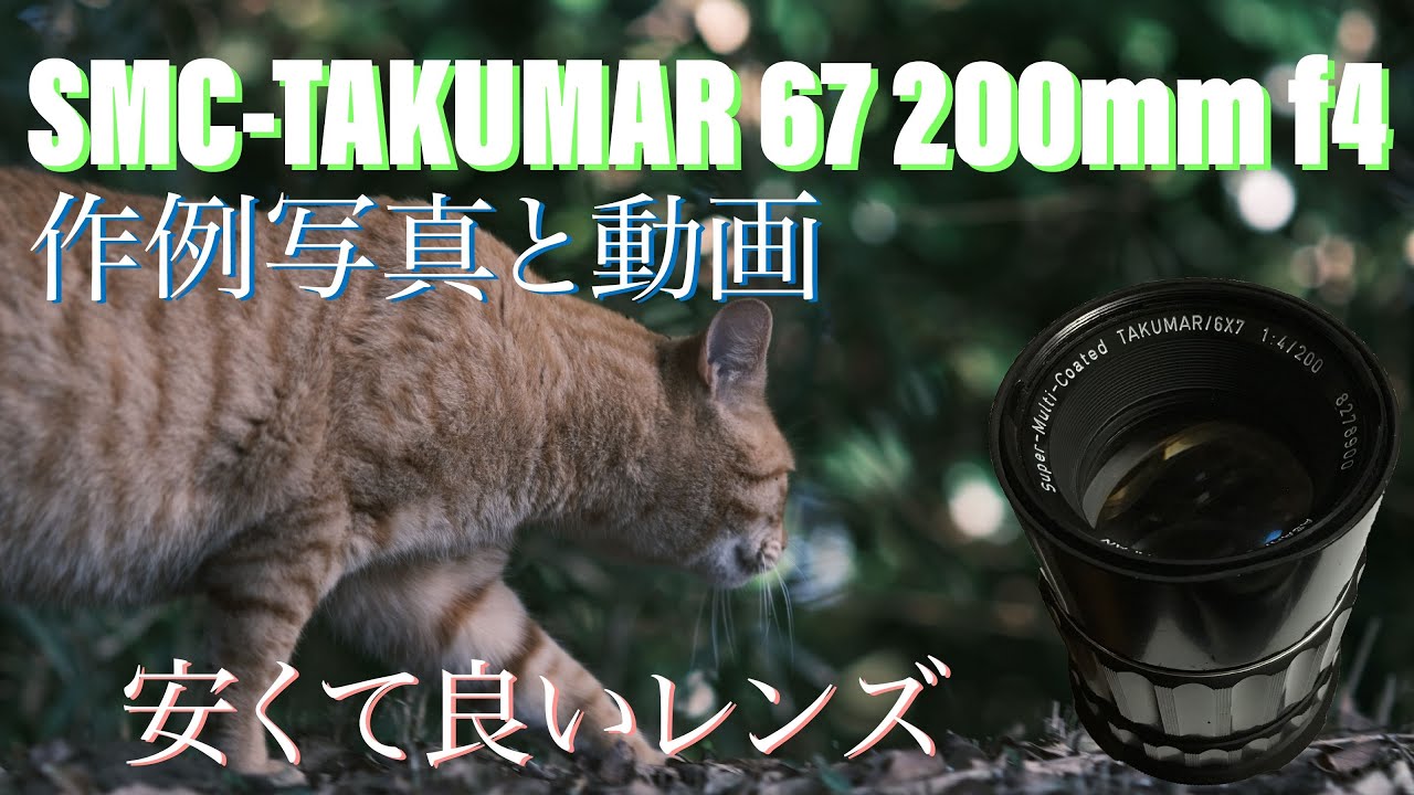 SMC-TAKUMAR 6×7 200mm f4を使ってみた。写真と動画の作例です - YouTube