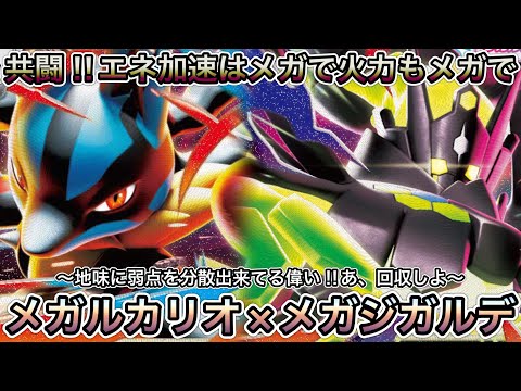 1765 [Pokemon Card] Mega Lucario EX and Mega Zygarde EX The key