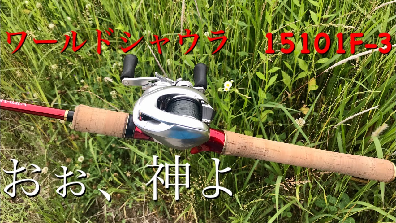 ワールドシャウラ15101F-3の軽快さと強さは武器だ - YouTube