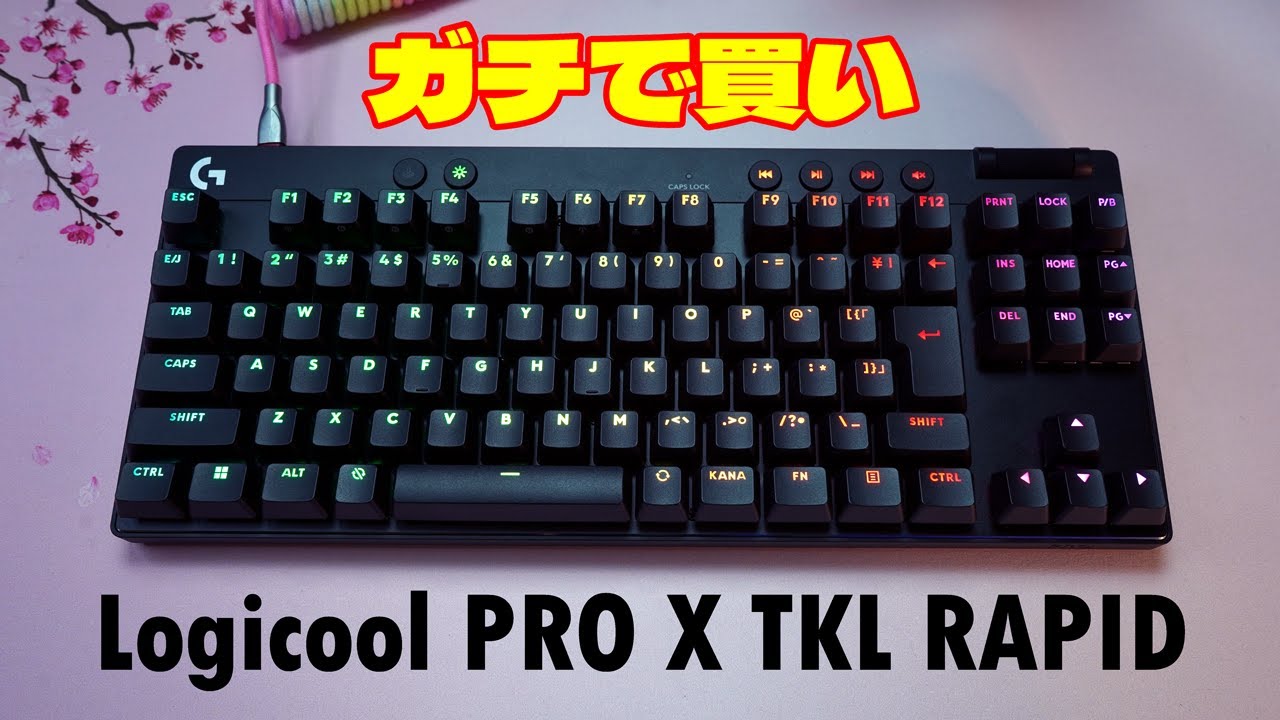 2024ガチモデル]ロジクール GPRO X TKL RAPID レビュー ラピッド