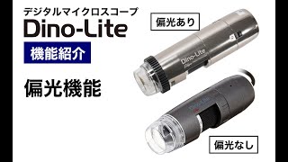 Dino-Lite Premier Polarizer(偏光) VGA(D-Sub) LWD | THANKO