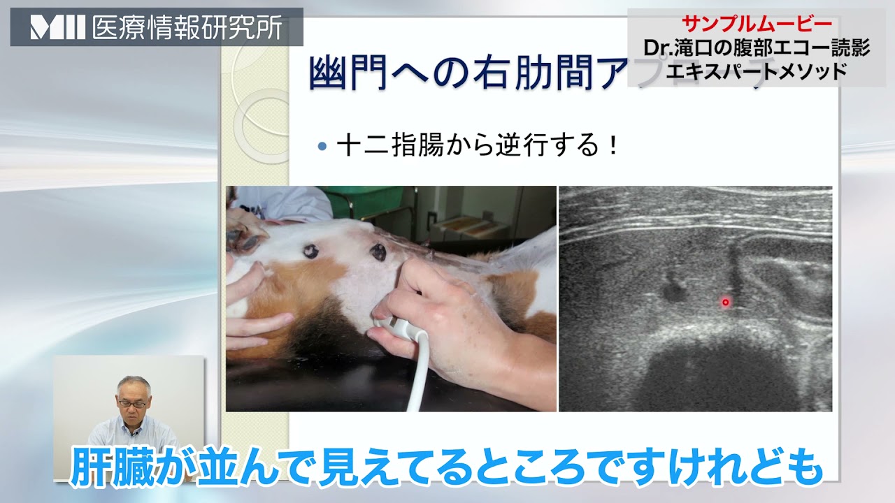 獣医】滝口先生「Dr.滝口の腹部エコー読影 エキスパートメソッド