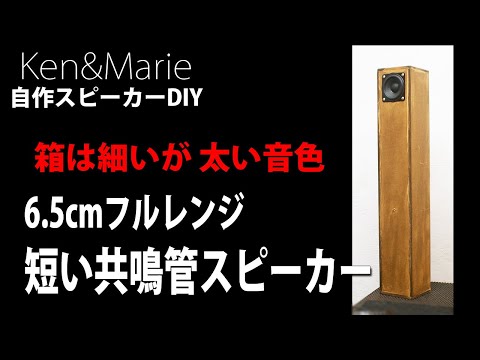 Reproduces Solfeggio Frequencies] A short resonator tube speaker