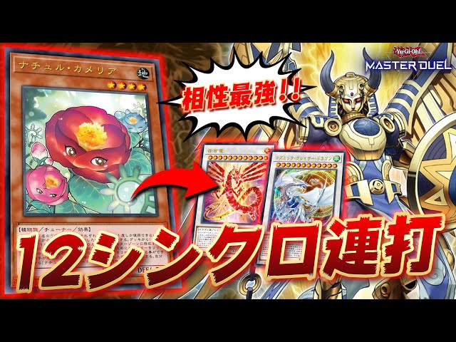 ぶっ壊れ】大型シンクロのバーゲンセール!! 連続シンクロが止まらない