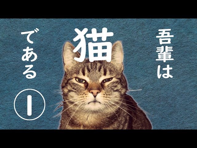 朗読】吾輩は猫である(1)／夏目漱石 - YouTube