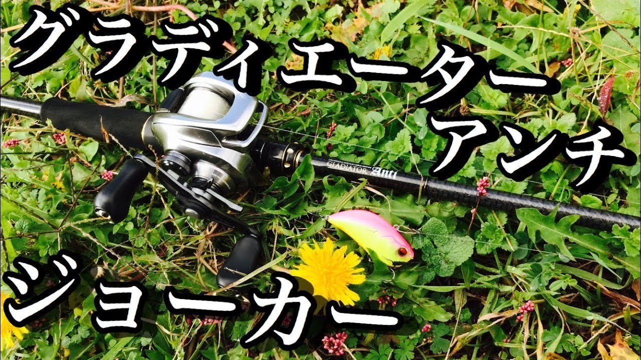 晩秋の野池を最強Mロッドとバイブレーションで攻める