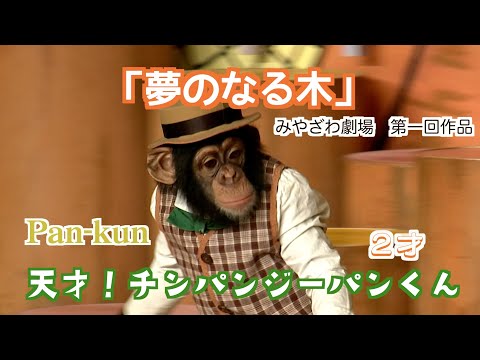 パンくん宮沢さんTV - YouTube