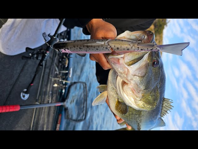 2025's NEWEST Glide Bait - Black Spirit Chapter One Glide Bait