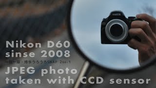 Nikon D60特集 第3弾・JPEG撮って出し縛りでCCDセンサーの特徴を味わい