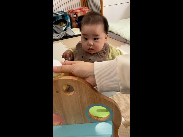Baby closely focuses on the rolling balls - YouTube