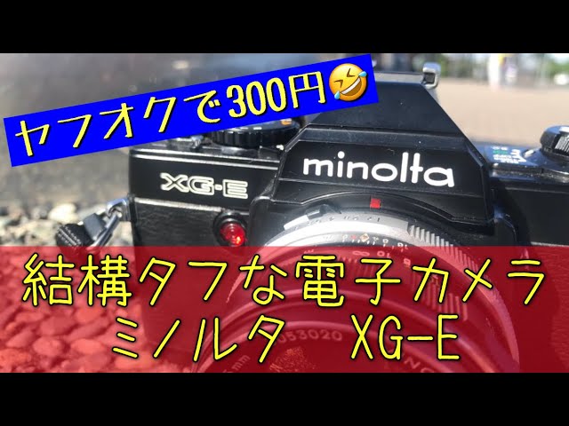 300円で落札した一眼レフ、ミノルタXG-Eで写真撮ってみました
