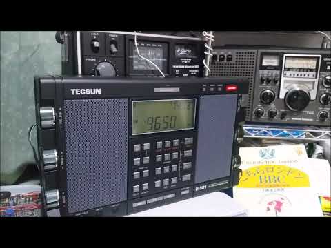 A20 TECSUN H-501、届きました: radio_no_koeのブログ