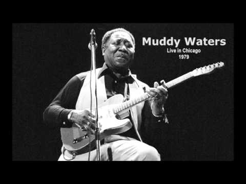 Muddy Waters - Live In Chicago 1979 - YouTube