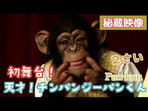 パンくん宮沢さんTV - YouTube