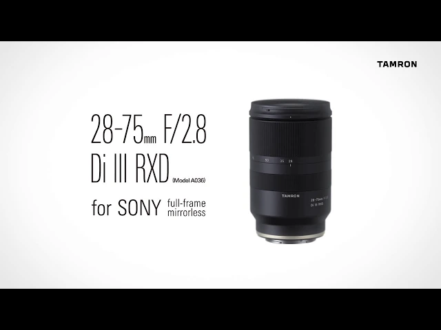 Tamron 28-75mm f/2.8 Di III RXD Lens for Sony E Mount