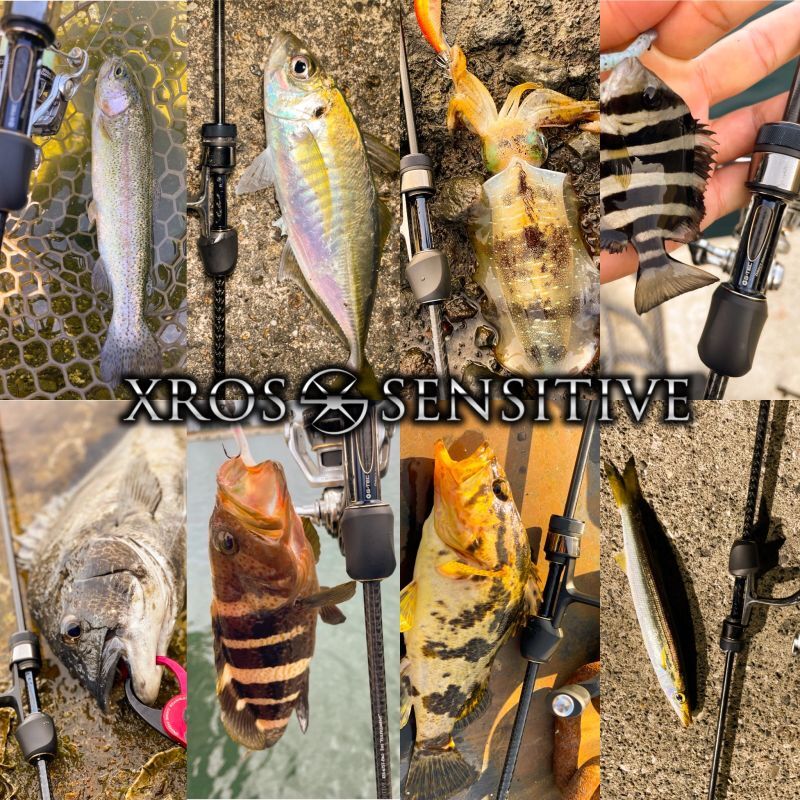 クロスセンシティブ XSS-67ST-Pro フルフィルメントの飛距離測定データ