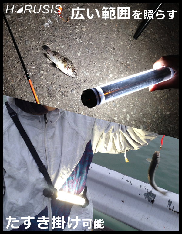 実際に夜釣りでライトを使ってみた様子を公開！釣りにおすすめの完全