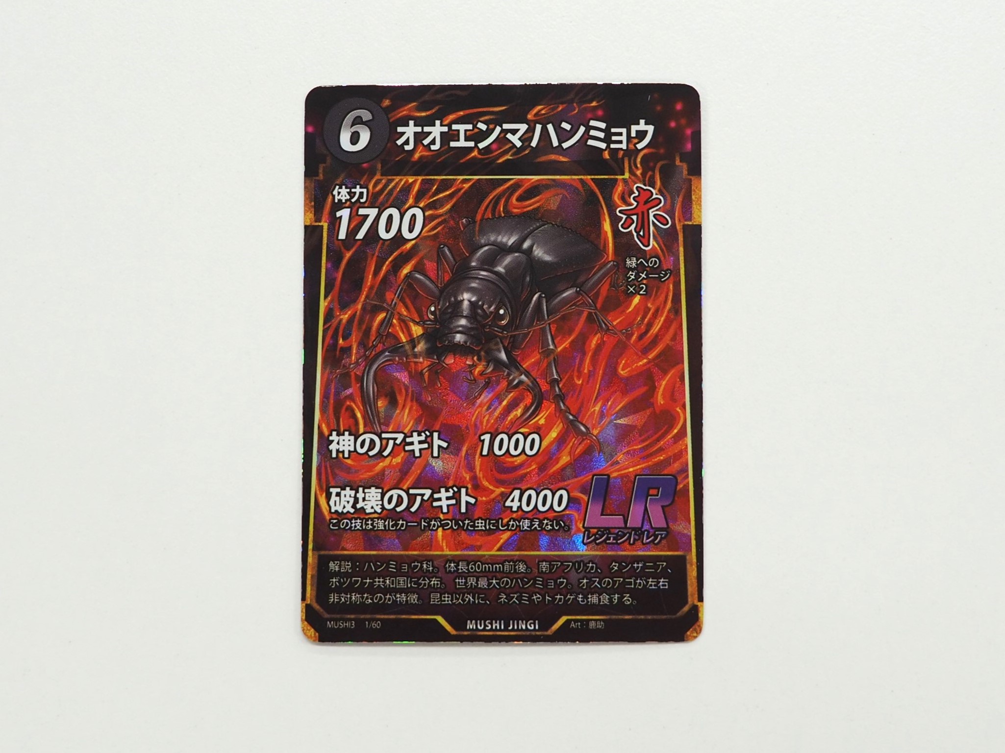 100円ショップのダイソーが手がけたトレーディングカードゲーム「蟲