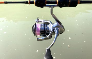 19ストラディックC2000SHG インプレ。ステラ並みかどうかは知らんけど