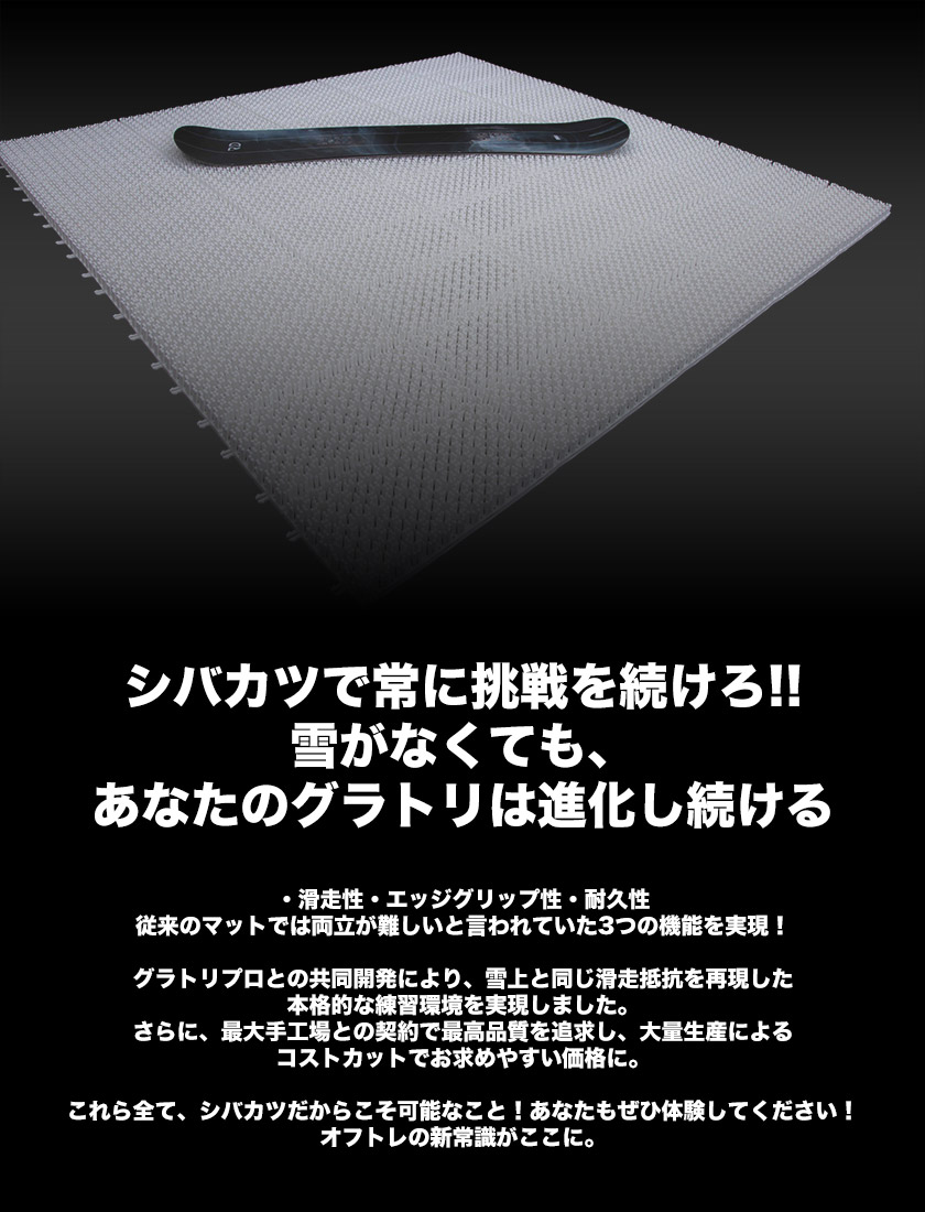 シバカツ コンプリートセット 50枚セット スノボオフトレ グラトリ