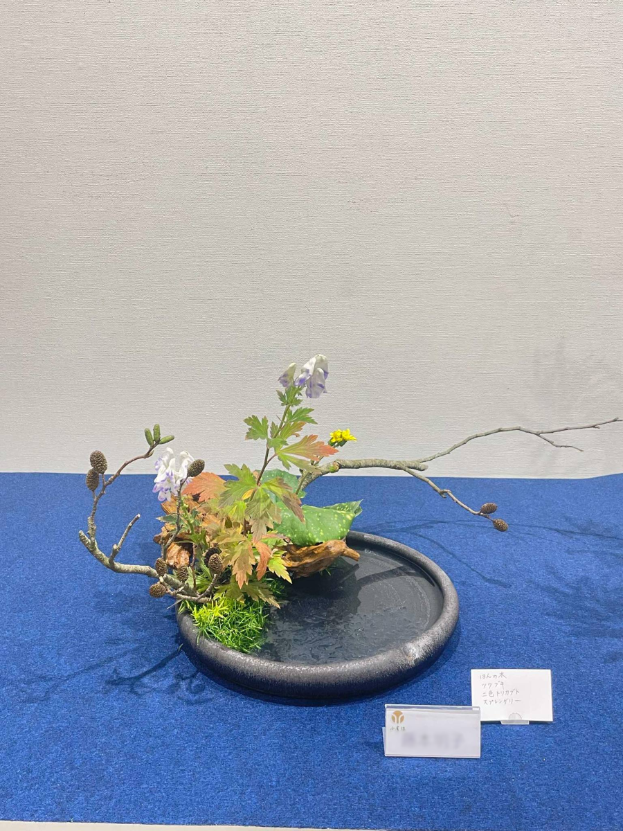 水盤に生けた作品 - 青森経済新聞