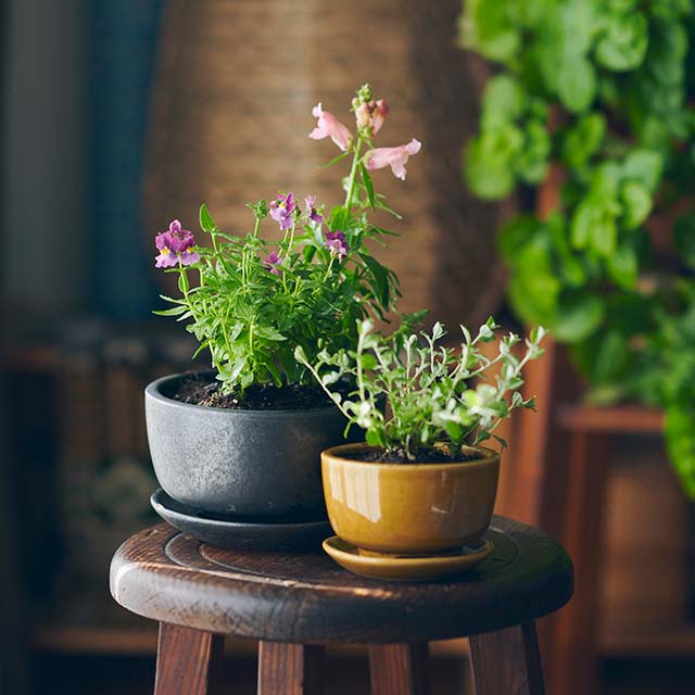 信楽丸鉢 5号｜園芸｜中川政七商店 公式サイト