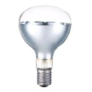 岩崎電気 屋外投光用アイランプ RF110V180WH (電球・蛍光灯) 価格比較