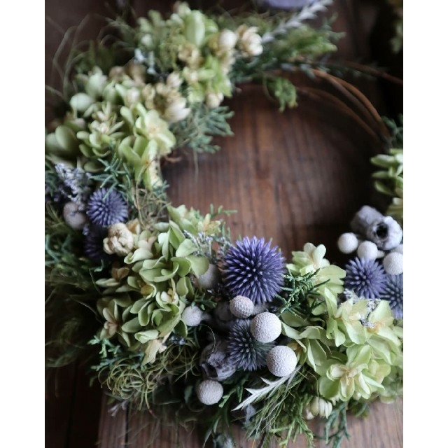 夏のブルーアイスが爽やかに薫る柏葉紫陽花の三日月リース。ドライ