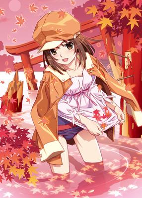 化物語 第四巻／なでこスネイク : 〈物語〉シリーズ | HMV&BOOKS