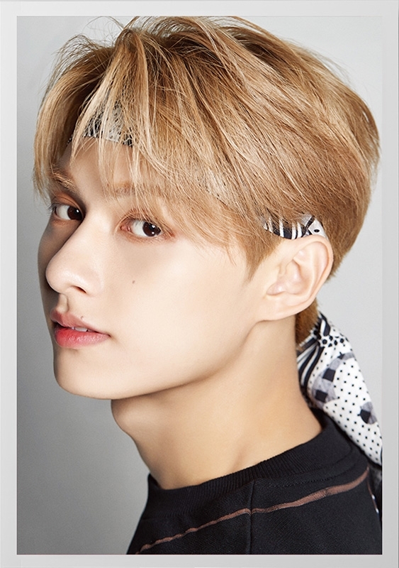 DICON D'FESTA SEVENTEEN JUN version《全額内金》 : SEVENTEEN