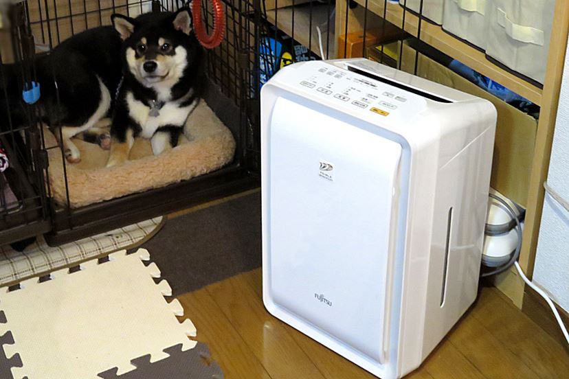 犬のニオイが気になるので「脱臭機」を導入してみた －富士通ゼネラル