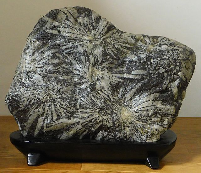 山水石美術館」 全国の水石・美石を紹介 土佐菊花石・多摩菊花石