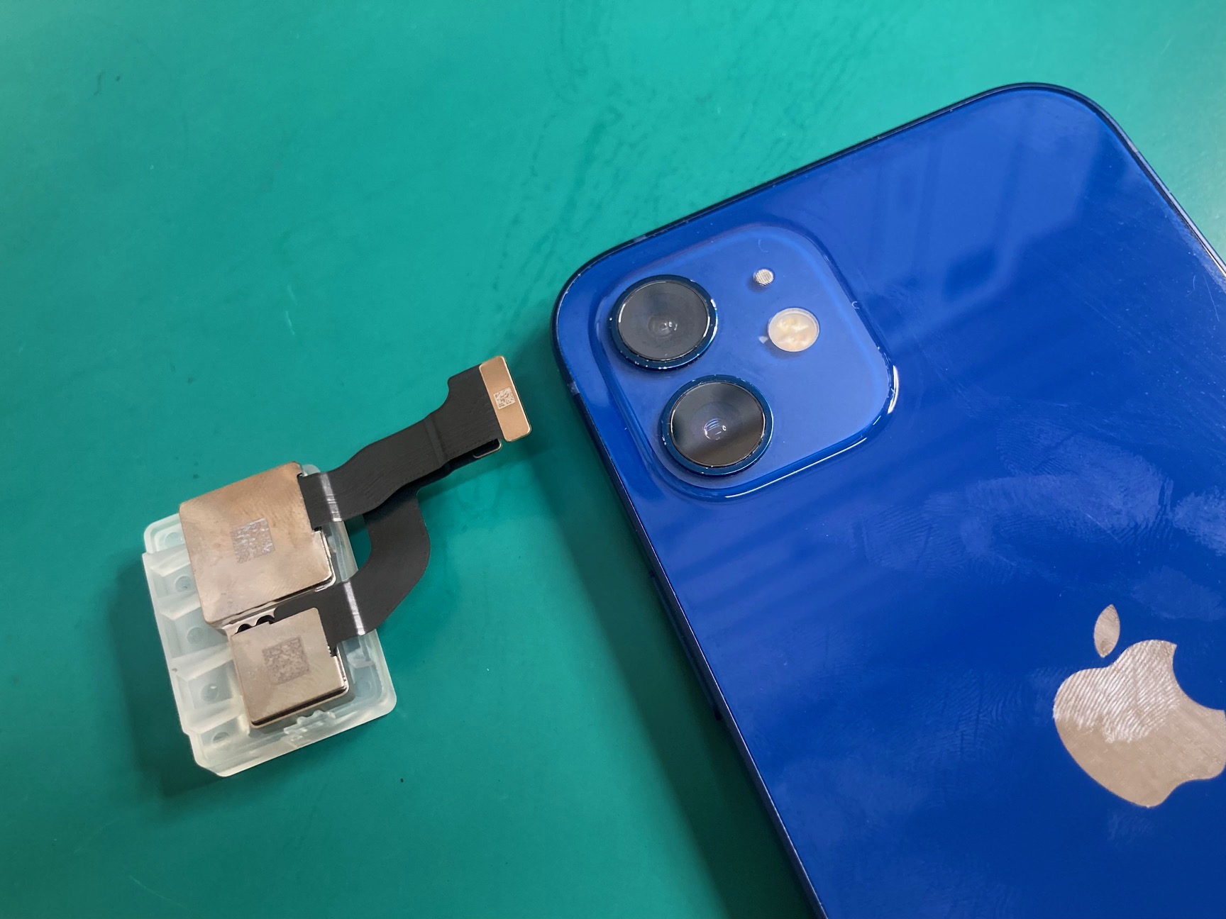 iPhone 12のリアカメラでピントが合わない＋カタカタ異音がする症状