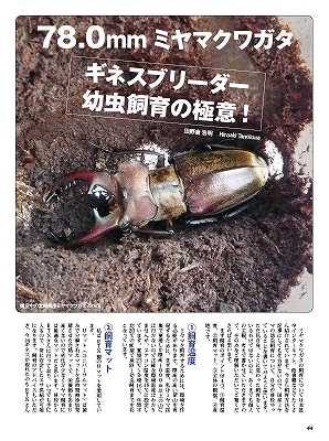 ビークワ47号（BE・KUWA） 日本のミヤマクワガタ大特集