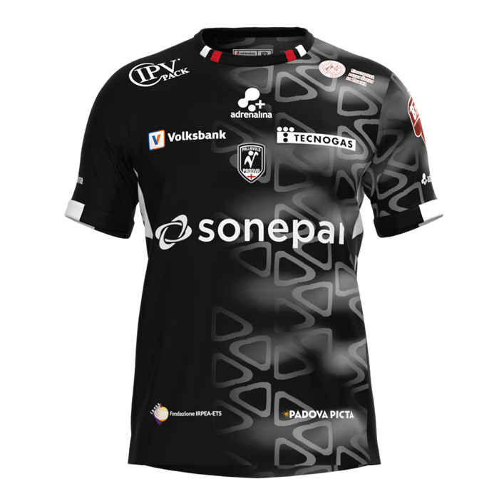 バレーボール イタリア セリエAパッラヴォーロ・パドヴァ 2024-25試合