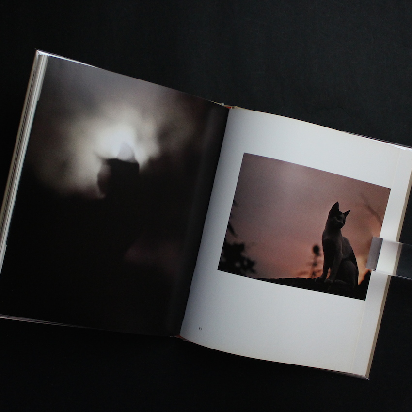 猫の麦わら帽子 / The Strawhat Cat - 深瀬 昌久 / Masahisa Fukase