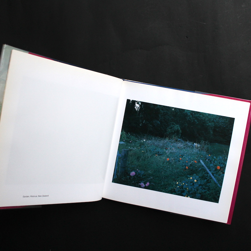 The Mad Broom of Life - 高橋 恭司 / Kyoji Takahashi