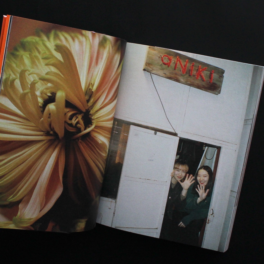 日記 / Nikki - ピクゾー / Piczo