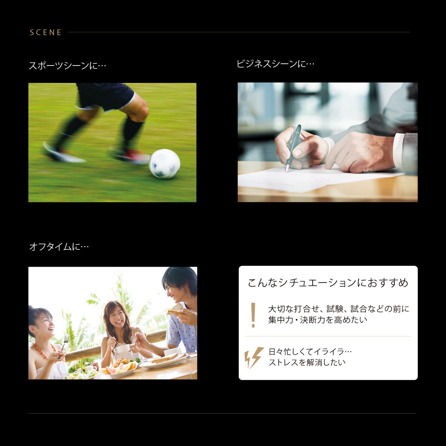 Amazon.co.jp: MTG ReFa(リファ) アクティブ ブレイン ホワイト