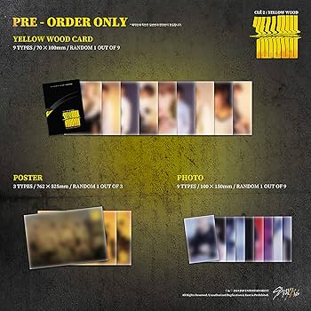 STRAY KIDS Special Album - CLE 2 : YELLOW WOOD [ Yellow Wood ver