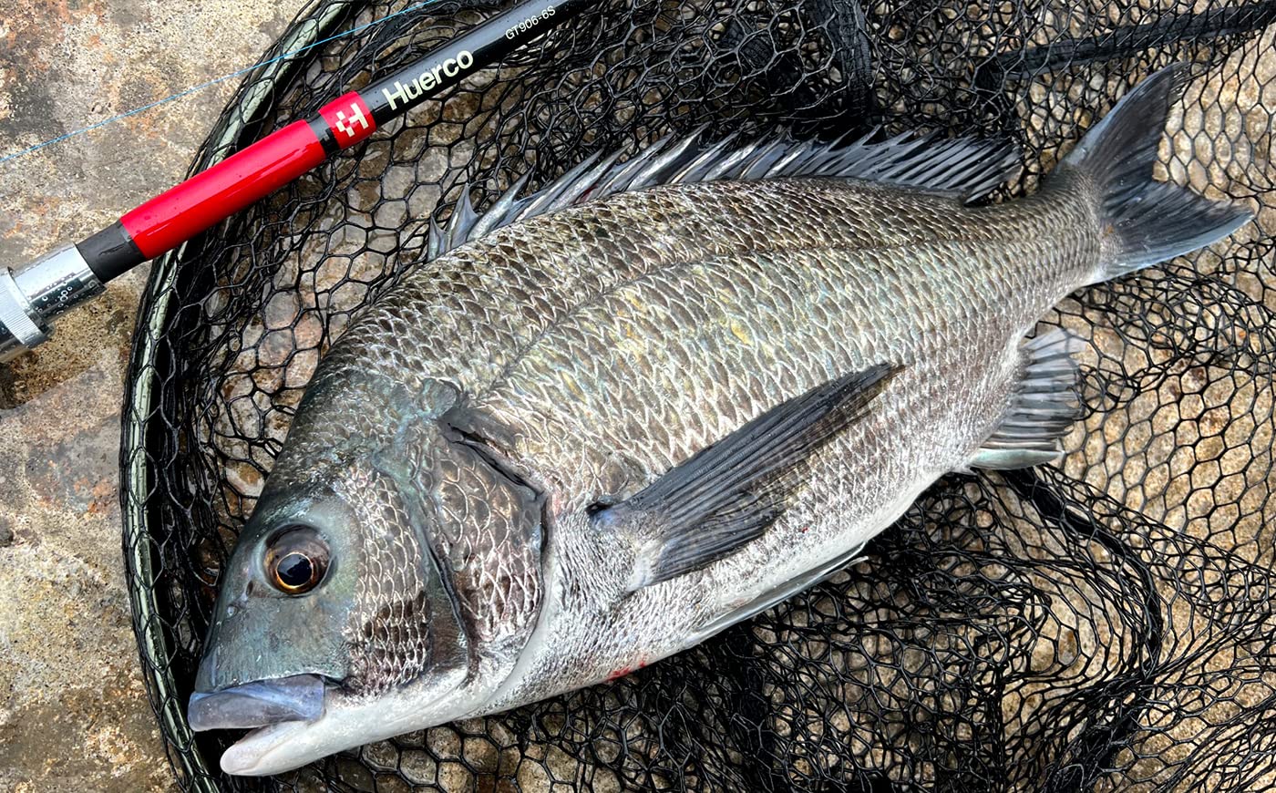 Amazon | Huerco フィッシングロッド GT906-6S / スピニングモデル