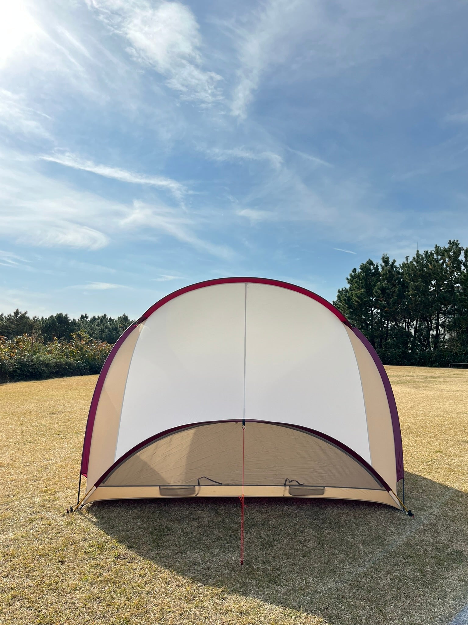 MOSS THE ENCORE - 芸術的シェルターテント | 構造美と機能性 | MOSS