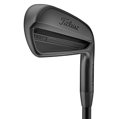 タイトリスト／T-SERIES／T100 アイアン（2021）の口コミ評価｜ゴルフ